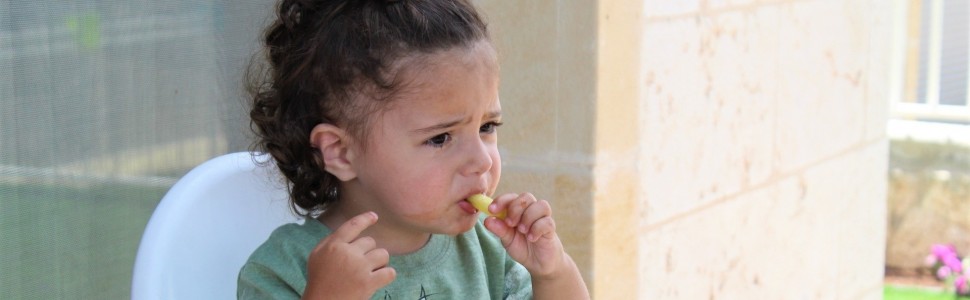 Żywienie dzieci w wieku 4-6 lat